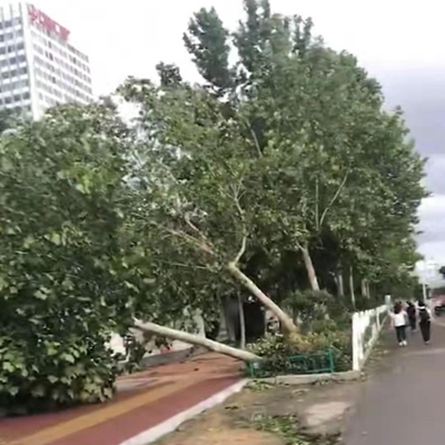 微信圖片_20190812090249.jpg