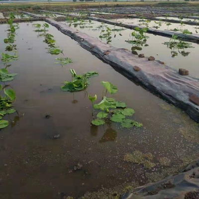 藕池抗老化腐蝕土工膜