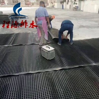 河北廊坊(香河)屋頂綠化施工現(xiàn)場