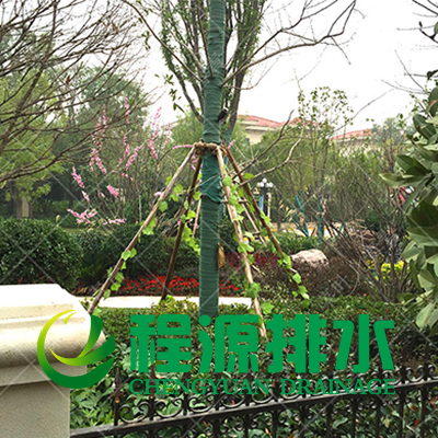 裹樹布3.jpg