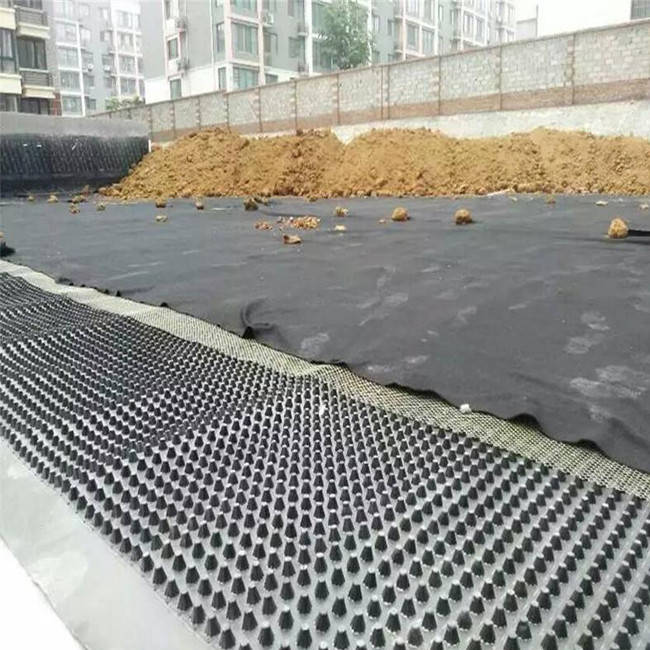 亳州市排水板施工現(xiàn)場(chǎng)