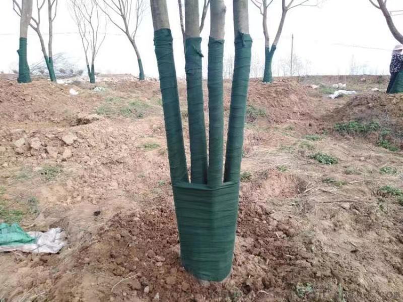 綠化裹樹布，包土球的無紡布