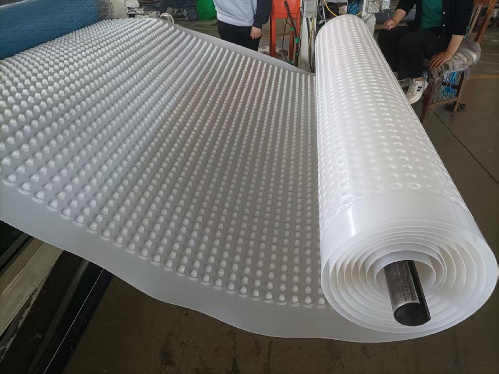 國標排水板發(fā)貨福建寧德！